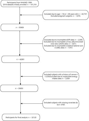 Association of oxidative balance score with chronic kidney disease: NHANES 1999-2018